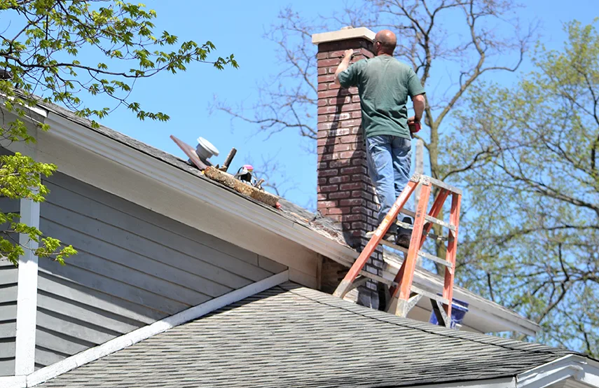 Chimney & Fireplace Inspections Services in Alafaya, FL